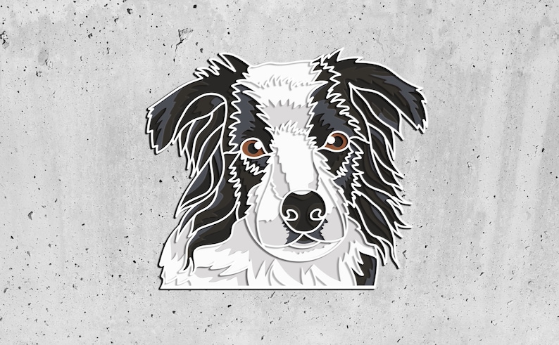 Pode incluir: Um c&atilde;o border collie preto e branco com olhos castanhos olhando diretamente para a c&acirc;mera. A pelagem do c&atilde;o &eacute; desenhada de forma estilizada.