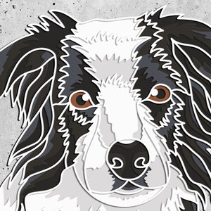 Pode incluir: Um border collie preto e branco com olhos castanhos olhando diretamente para a c&acirc;mera. A pelagem do c&atilde;o &eacute; estilizada com um contorno dentado.