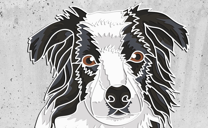 Pode incluir: Um border collie preto e branco com olhos castanhos olhando diretamente para a c&acirc;mera. A pelagem do c&atilde;o &eacute; estilizada com um contorno dentado.