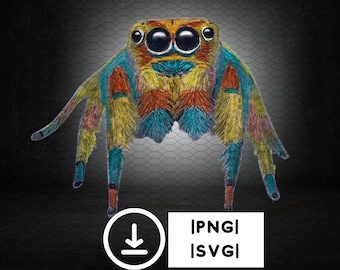 Hand Drawn Jumping Spider Clipart | Arachnid Lover PNG, SVG (Digital Download)