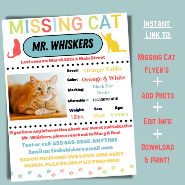 Missing Cat Flyer, Canva Missing Pet Template, Digital Downloads / Missing Pet Flyer for Print and Social Media.