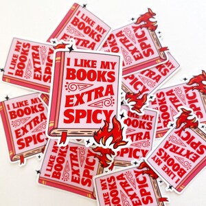 Pegatina de libros picantes / Pegatina de vinilo / Regalo para amantes de los libros