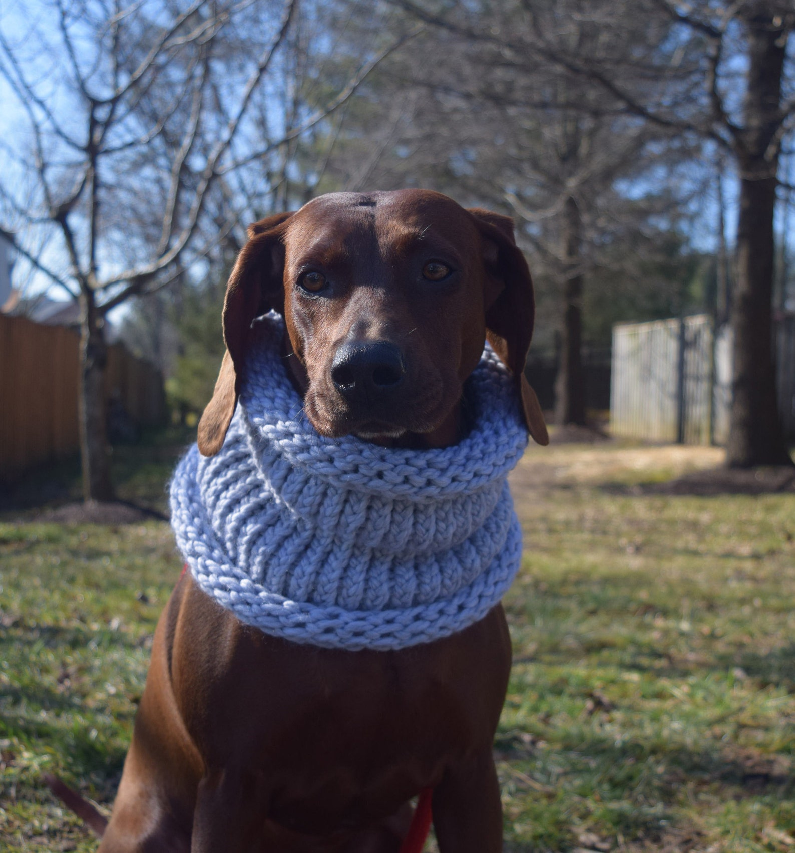 Infinity Dog Scarf Hand Knit Scarf Pet Neck Warmer Dog Etsy