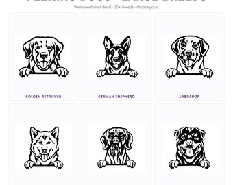 Peeking Large Breed Dog Car Decal | 19 Breeds | Custom Vinyl Window Sticker | Personalized Pet Gift | Handmade FL