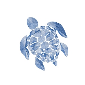 May include: A blue stylized line drawing of a sea turtle with a circular pattern on its shell.