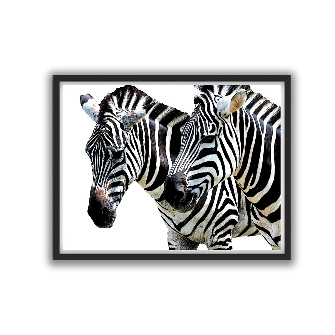 Zebra Print Nursery Art Baby Nursery Wall Art Zebra Animal Etsy
