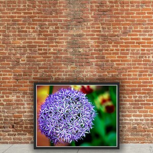 Lily Flower Print Purple Flower Print Office Decor Digital Download Colored Print Lily Flower Printable Flower Wall Art