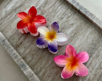 Farbenfrohe Blütenpracht, bunte Blumen Haarspangen, Haarklammer Hawai Blume, Haarclip mit Farbverlauf, Haarschmuck, Mittelgroße Spange