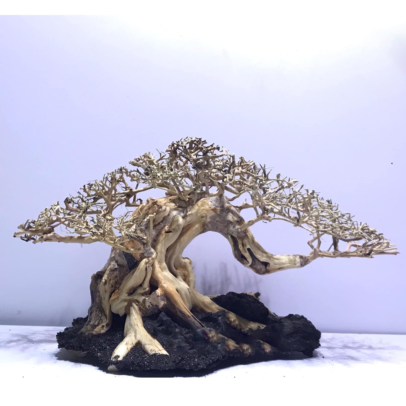 Aquarium Driftwood Extra Large Bonsai Driftwood Aquarium | Etsy
