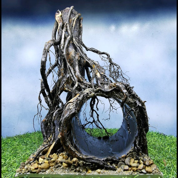 rock and wood aquascape