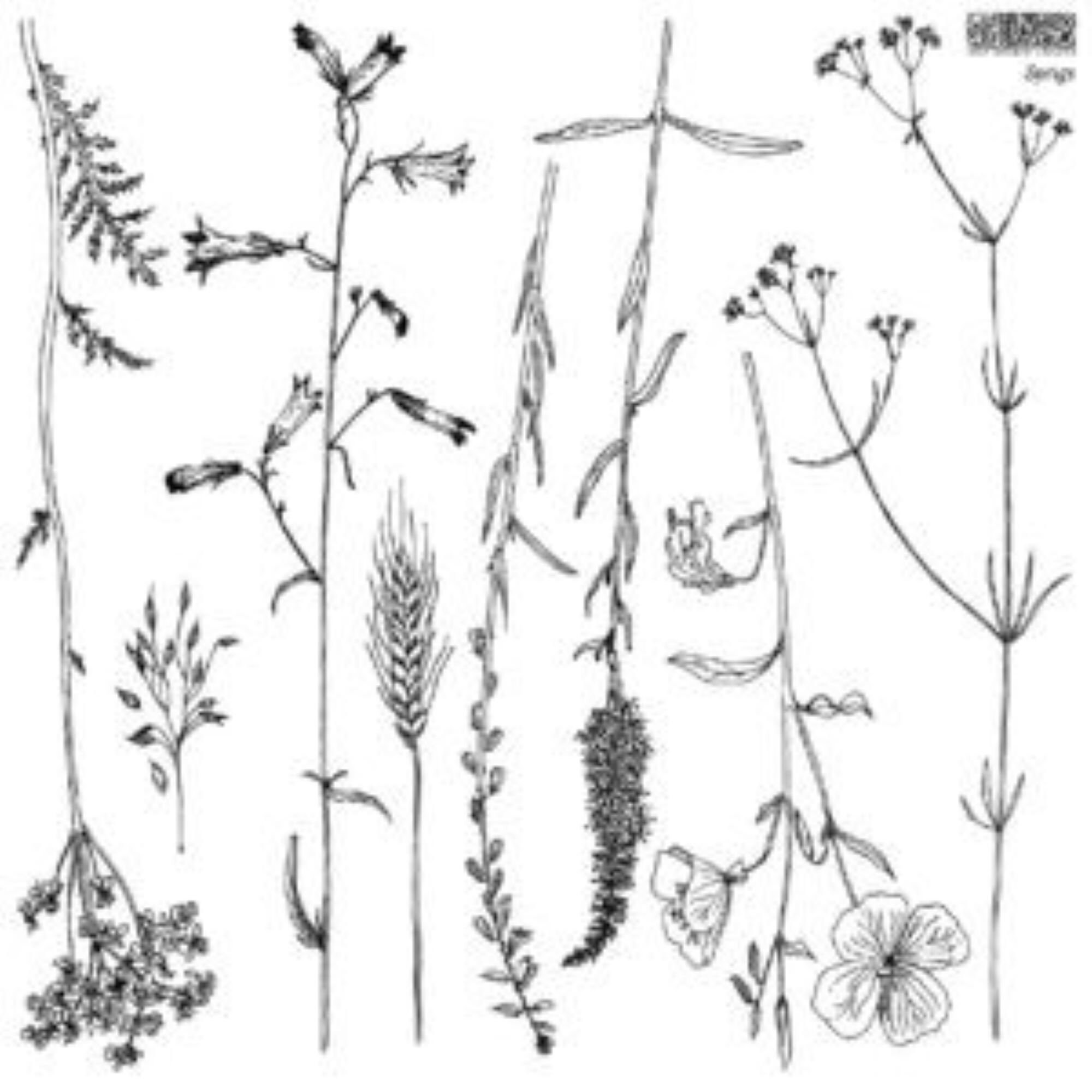 IOD Decor Stamp Sprigs by Iron Orchid Designs
