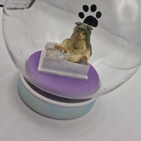 Snow Globe Cat in Litter Box Etsy UK