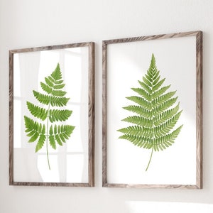 Green watercolor fern print set of 2 Fern Plant poster Painted fern prints Fern Painting Botanical prints Watercolor greenery wall art gift