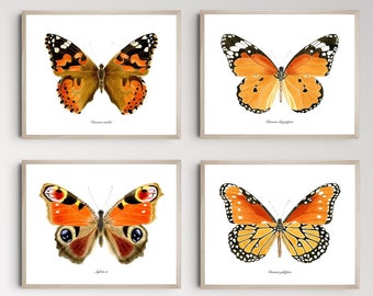 Monarch butterfly wall art, Monarch butterfly print set of 4, colorful butterfly bedroom decor, vintage butterfly print, gallery wall art