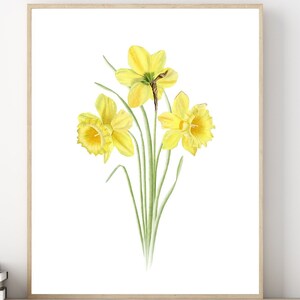 DAFFODIL FLOWER art print, daffodil watercolor painting, March birthday gift, yellow flower wall art, March birth flower print birth month