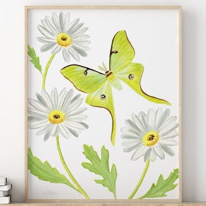 luna moth art print, watercolor luna moth painting, luna moth wall art, green butterfly print, butterfly poster butterfly artwork insect art