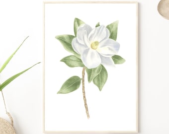 White magnolia painting Magnolia art print Magnolia print Magnolia watercolor botanical print Minimalist wall decor Cottage Floral wall art