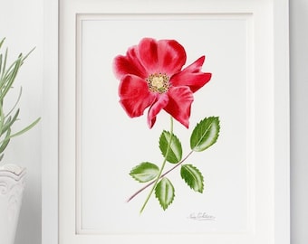 RED ROSE FLOWER art print, botanical art print, watercolor painting, red flower art print, flower print, floral print, flower wall art, red