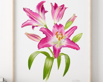 PINK LILY PAINTING, pink lily print, stargazer lily watercolor painting, lily wall art, lily floral print, lily flower botanical artwork