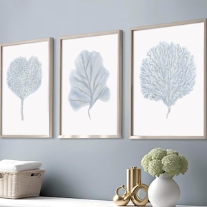 Blue coral prints set of 3 Light blue wall art Coastal wall art Nautical decor Beach house decor Seaweed artwork Sea fan art Ocean wall art