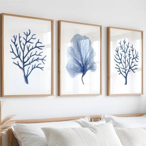 Watercolor coral art set of 3 prints Seaweed painting Minimalist wall art Botanical prints Nautical decor Coastal poster Beach house decor