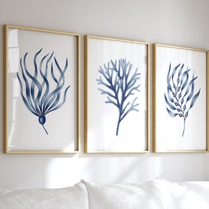 Navy blue wall art set of 3 prints Blue coral prints Seaweed artwork Minimalist wall decor Coastal wall art Nautical watercolor corals art