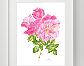 PINK ROSE PAINTING, pink rose print, pink rose watercolor painting,  pink rose wall art, rose floral artwork, rose flower gift for mom, her