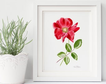 RED ROSE FLOWER art print, botanical art print, watercolor painting, red flower art print, flower print, floral print, flower wall art, red