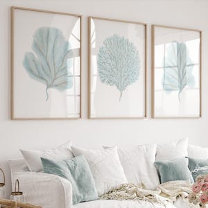 May include: Three framed wall art pieces with light blue botanical prints hang above a white sofa with matching pillows. A wooden coffee table holds a vase of pink flowers and a small woven basket. A wicker chair is in the foreground.