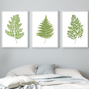 Greenery watercolor Fern prints Painted fern Plant poster Maidenhair fern Print set of 3 Fern watercolor leaves Green art Botanical prints