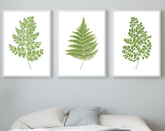 Greenery watercolor Fern prints Painted fern Plant poster Maidenhair fern Print set of 3 Fern watercolor leaves Green art Botanical prints