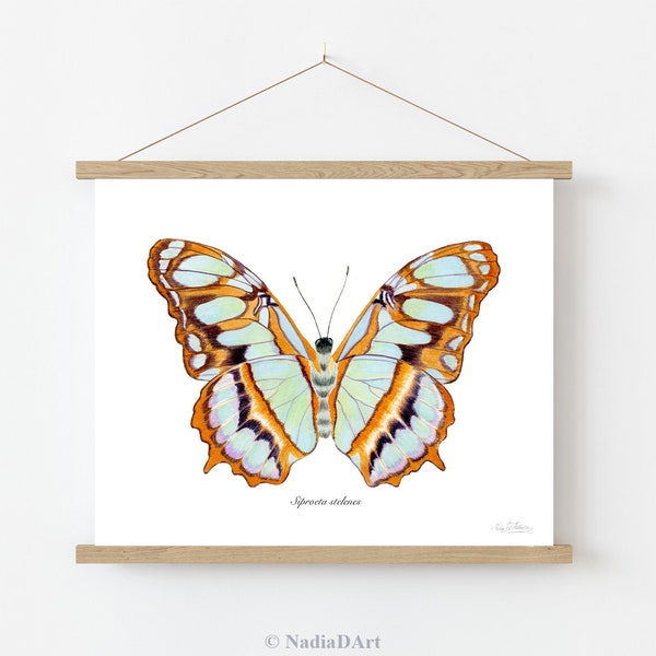 malachite butterfly print, colorful butterfly wall art, boho butterfly print, rainbow butterfly poster, watercolor butterfly painting, gift