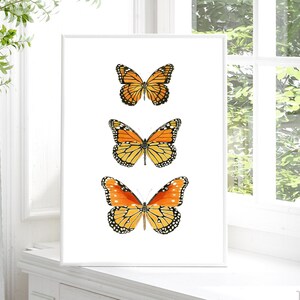 Monarch Butterfly Wall Art Monarch Print Monarch Butterfly Print Monarch Butterfly Poster Biology Poster Insect Illustration Home Decor Gift