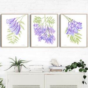 JACARANDA ART PRINT set of 3, jacaranda botanical print, jacaranda watercolor painting, jacaranda wall art, jacaranda floral print, lavender