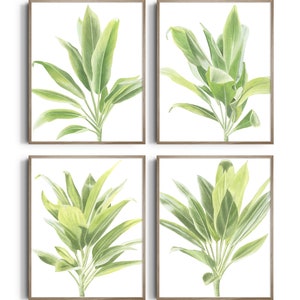 Watercolor palm tree print set of 4 Tropical wall decor Banana leaf wall art Tropical plants art print Botanical print gift Gallery wall set