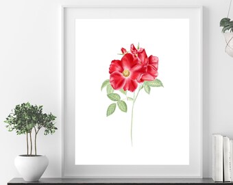 red rose painting, watercolor rose wall art, red rose art print, minimalist red flower painting, red botanical print, floral gift for her