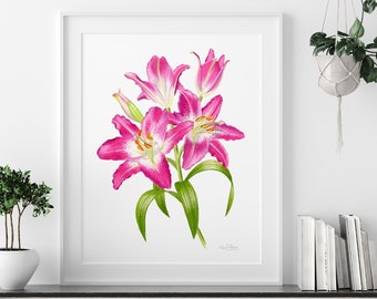 STARGAZER LILY PRINT, pink lily painting, pink lily wall art, pink lily print, pink lily floral artwork lily flower watercolor botanical art