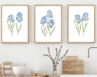 BLUE IRIS PRINT set of 3, floral iris paining, bearded iris watercolor, iris wall art, office home decor, living room, bedroom, kitchen art