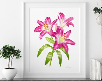 PINK LILY PRINT, pink lily painting, watercolor lily flower wall art, pink flower floral, lily watercolor painting stargazer botanical print