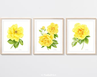 YELLOW ROSE ART print set of 3, yellow rose floral print, yellow rose watercolor painting, yellow rose botanical print, yellow rose wall art