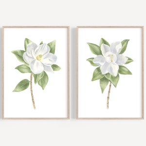 White magnolia painting Southern magnolia art print Magnolia watercolor flowers Botanical print set 2 Modern Farmhouse art Floral wall art