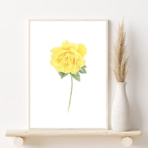 watercolor yellow rose painting, yellow rose wall art, minimalist yellow flowers, yellow botanical print, modern floral wall decor, poster