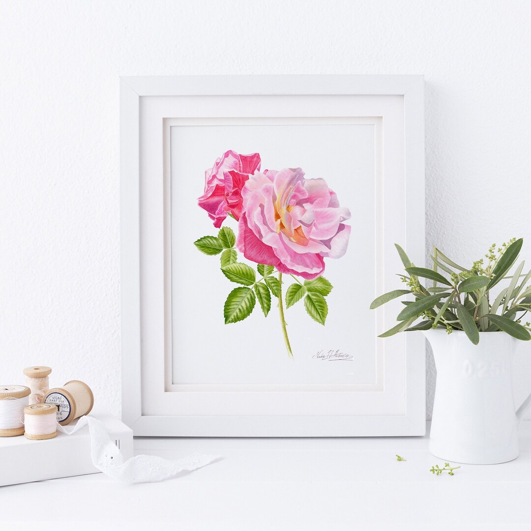 PINK ROSE WATERCOLOR Print, Pink Rose Painting, Pink Rose Wall Art ...