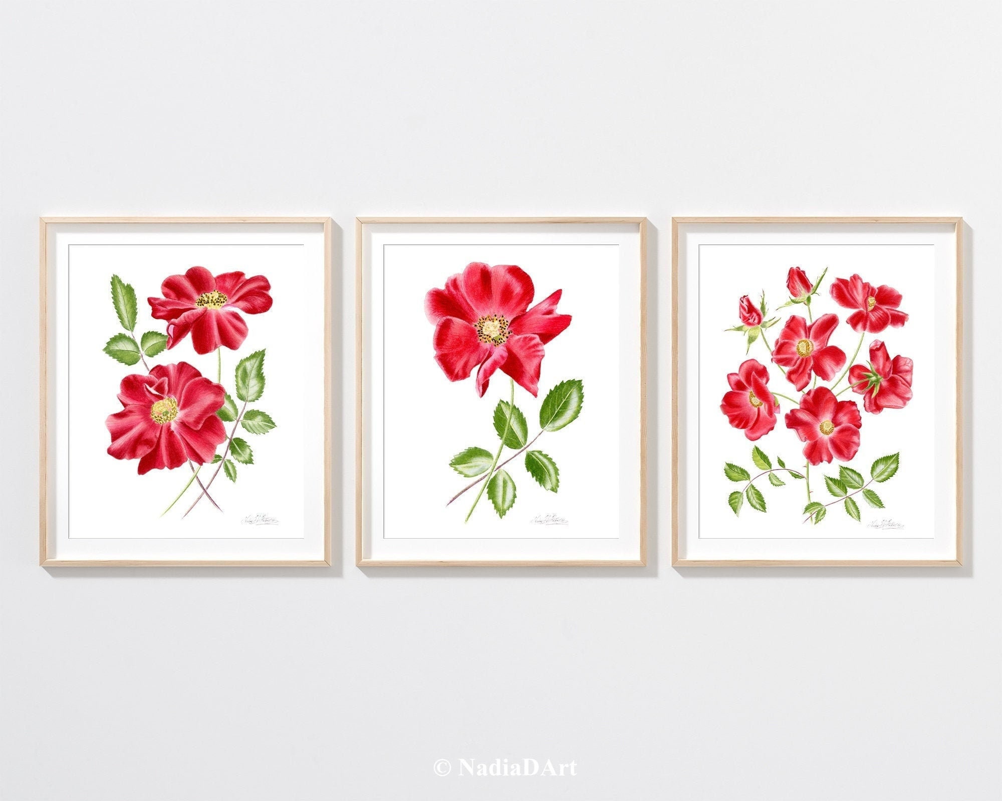 RED ROSE Art Print Set of 3, Botanical Art Print, Red Flower Art Print ...