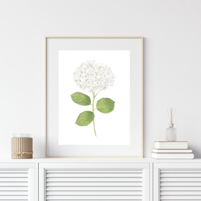 White Hydrangea Art Print Hydrangea Watercolor Hydrangea Painting ...