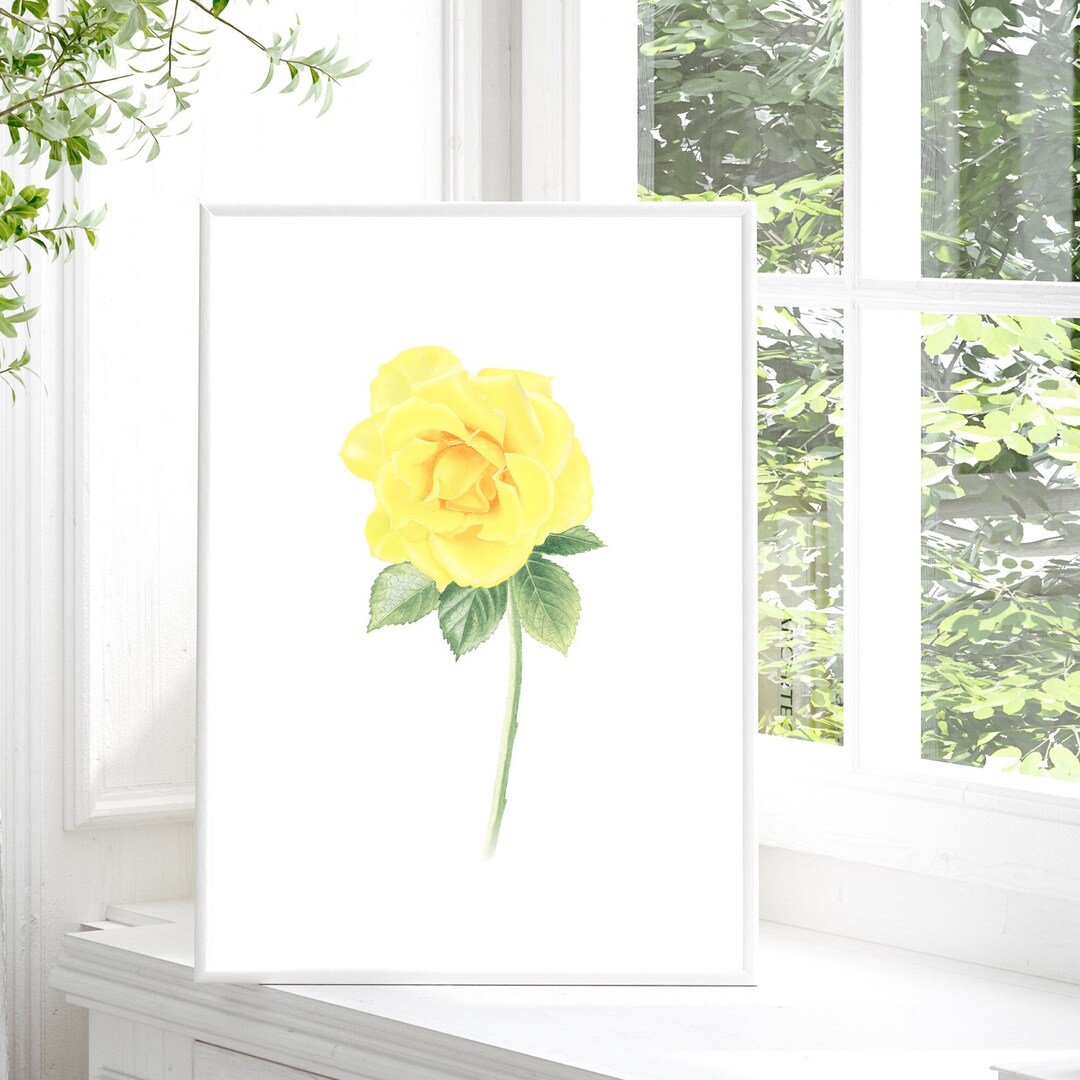 Watercolor Yellow Rose Painting, Yellow Rose Art Print, Yellow Rose