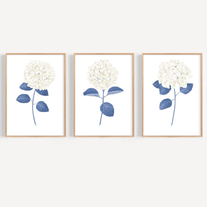 White Hydrangea Print Set of 3 Navy Blue Wall Art Hydrangea Wall Art ...