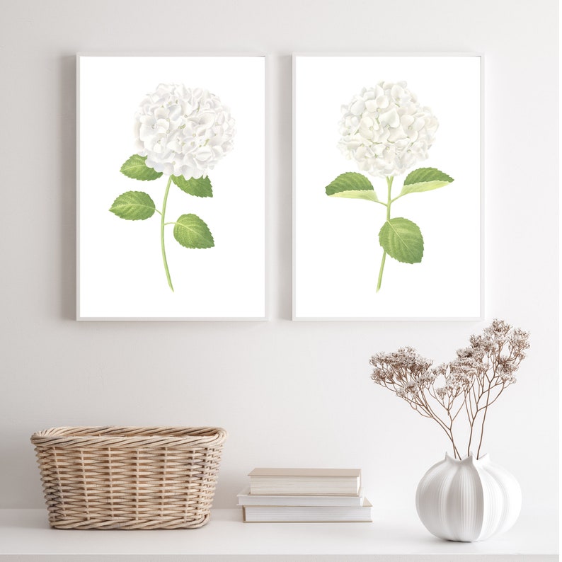 White Hydrangea Print Hydrangea Watercolor Flowers Hydrangea Painting ...
