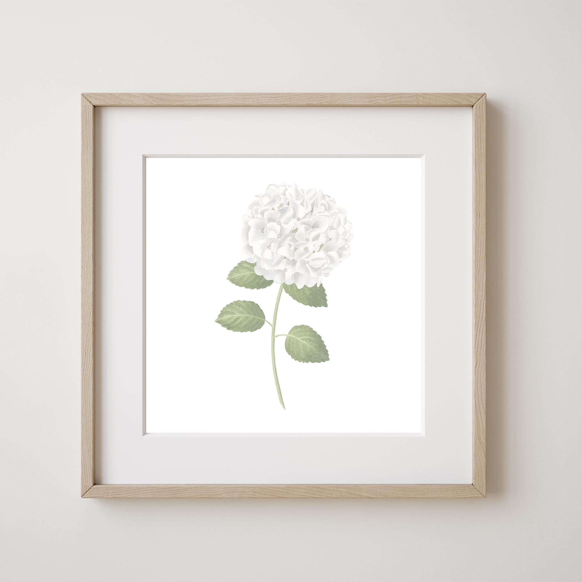White Hydrangea Print Set of 4 Gallery Wall Set Hydrangea Painting ...