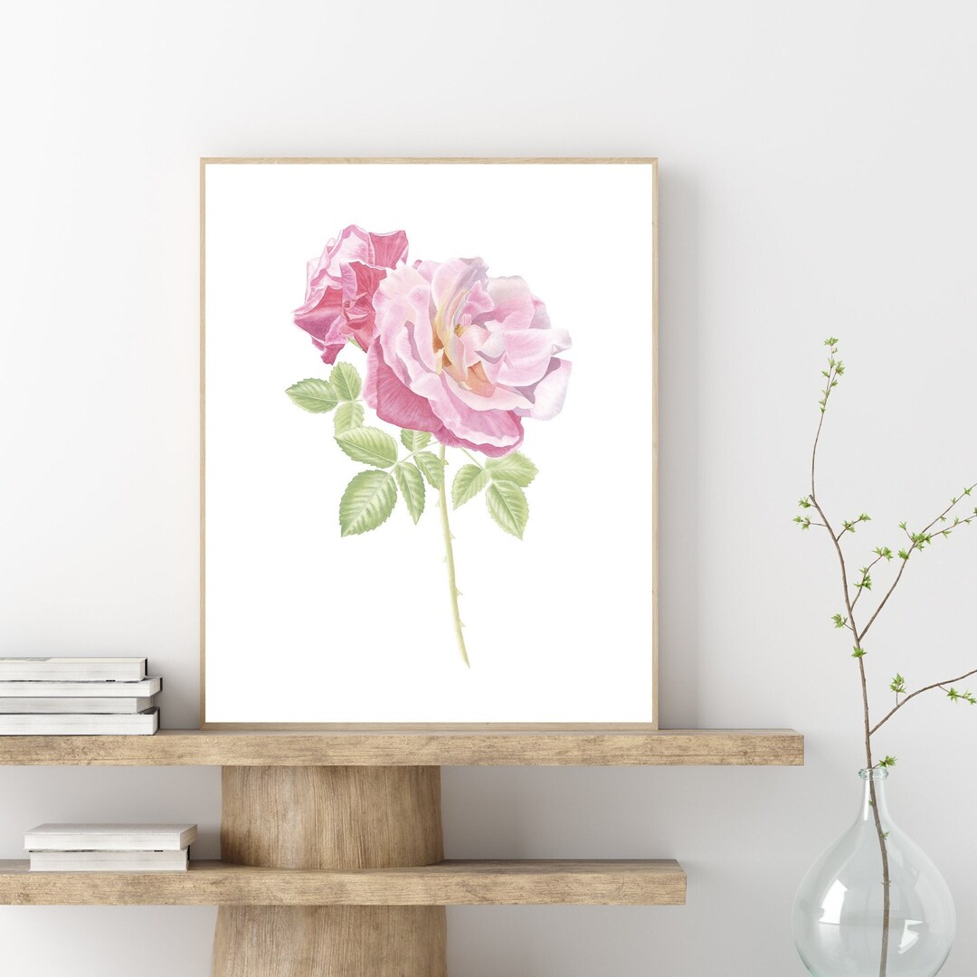 Pink Rose Art Print Rose Watercolor Print Pink Rose Wall Art Rose ...